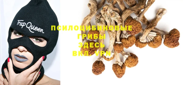 MESCALINE Абаза