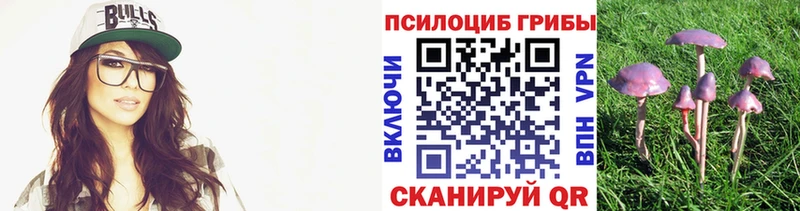 Псилоцибиновые грибы MAGIC MUSHROOMS даркнет сайт Ковров